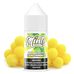 Mints SALT 30mL