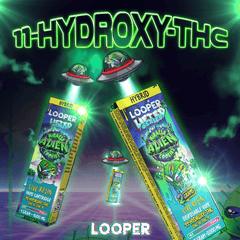 LOOPER Lifted Blend Cartridge 2g (5/Pack)