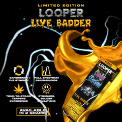 LOOPER Limited Edition Live Badder Disposable 2g (5/Pack)