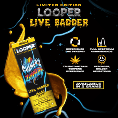 LOOPER Limited Edition Live Badder Disposable 2g (5/Pack)