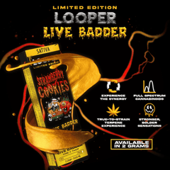 LOOPER Limited Edition Live Badder Disposable 2g (5/Pack)