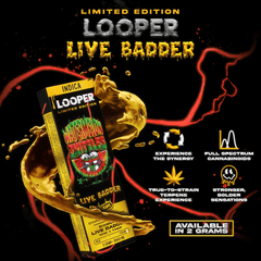 LOOPER Limited Edition Live Badder Disposable 2g (5/Pack)